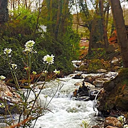 Отель Kadifeli &